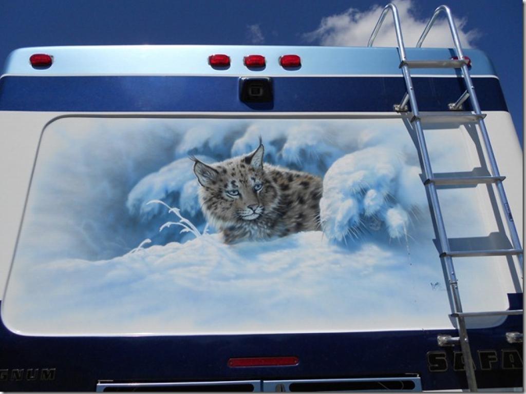 Wild_Cat Mural